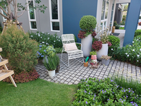 Vaste planten